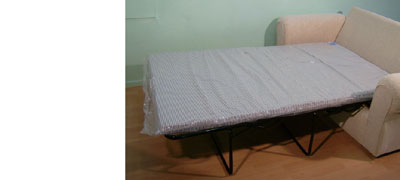 sapphire foam sofa bed